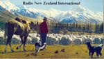 Radio New Zealand International (1991)